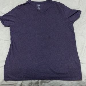 Mens Purple V-Neck T-shirt, Athletic Fit